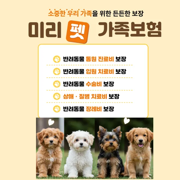 이미지 6
