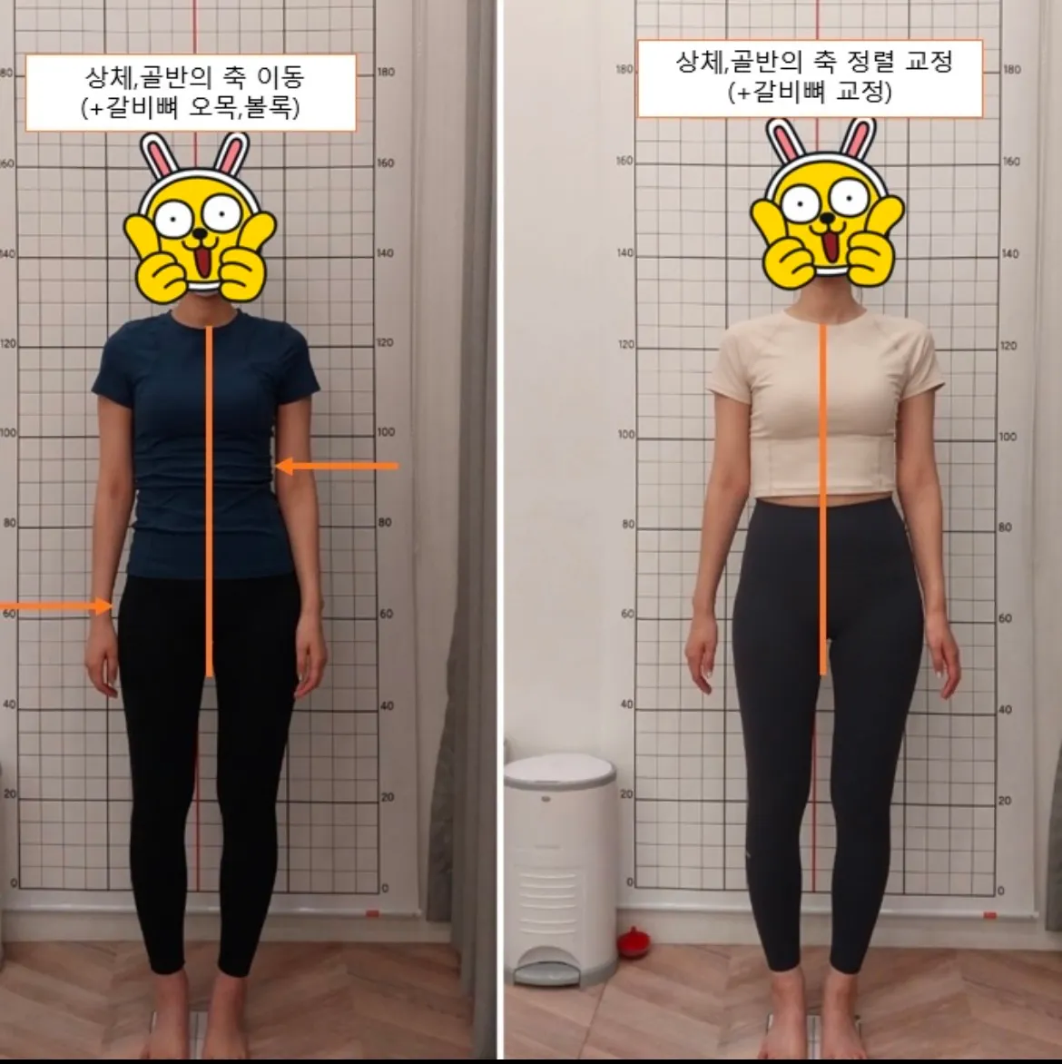 이미지 5