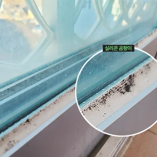 당감동 이사청소 (실리콘 곰팡이 제거 포함)