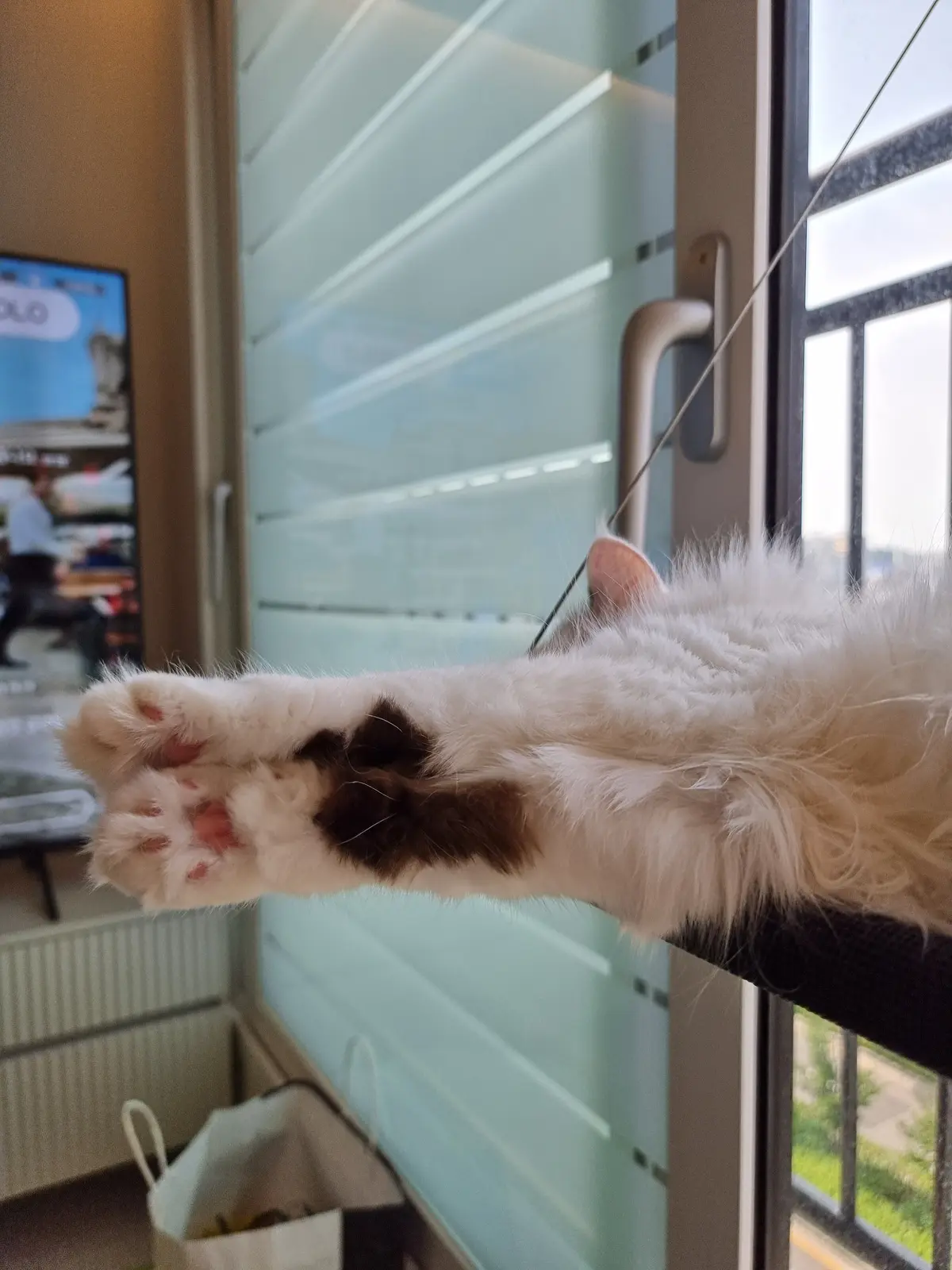 이미지 4