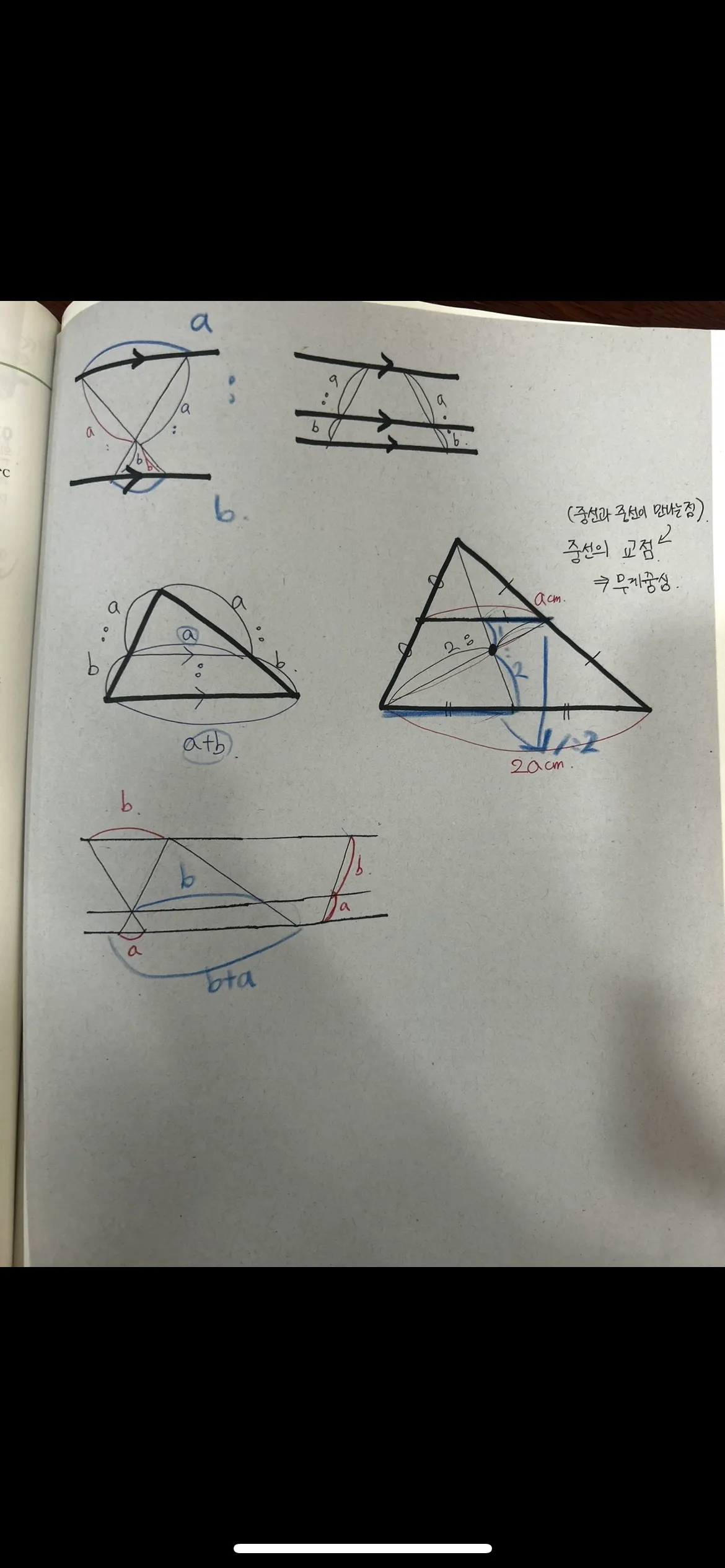 이미지 6