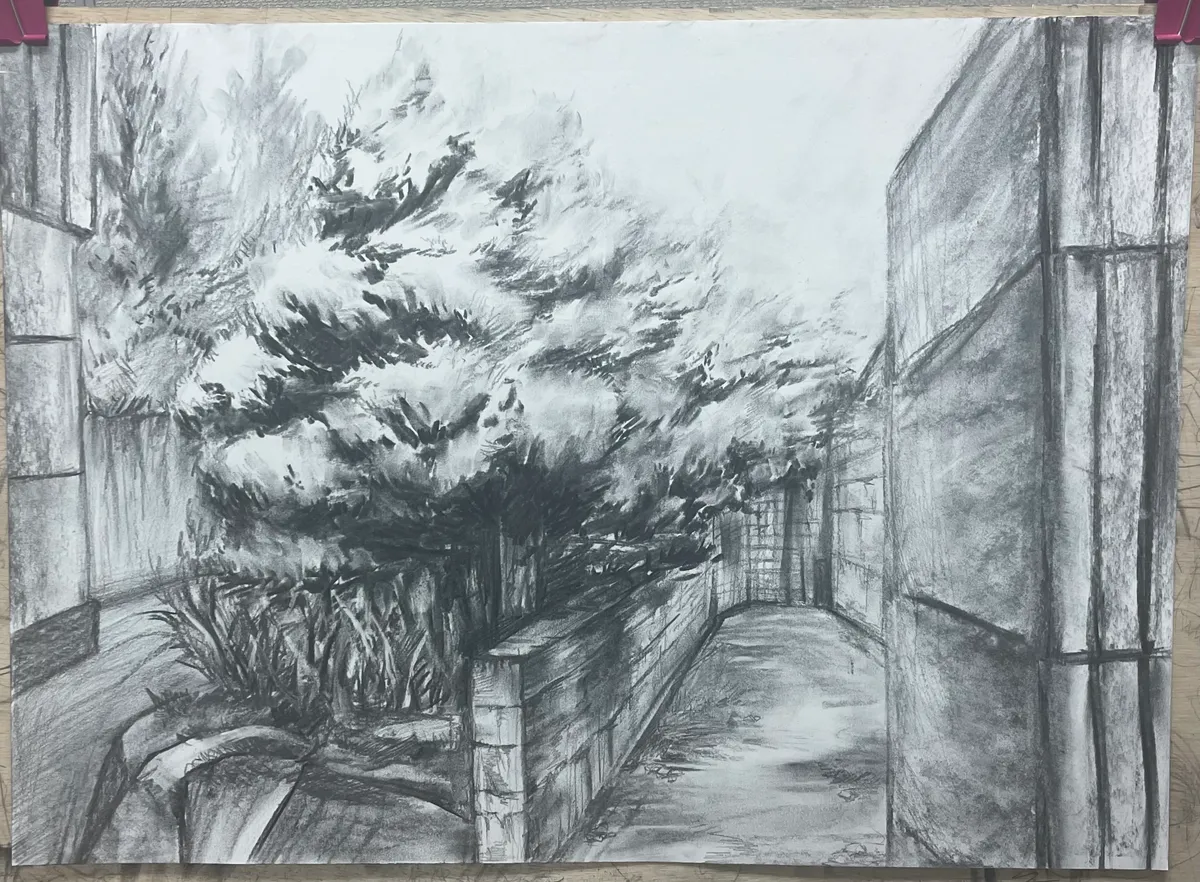 이미지 14