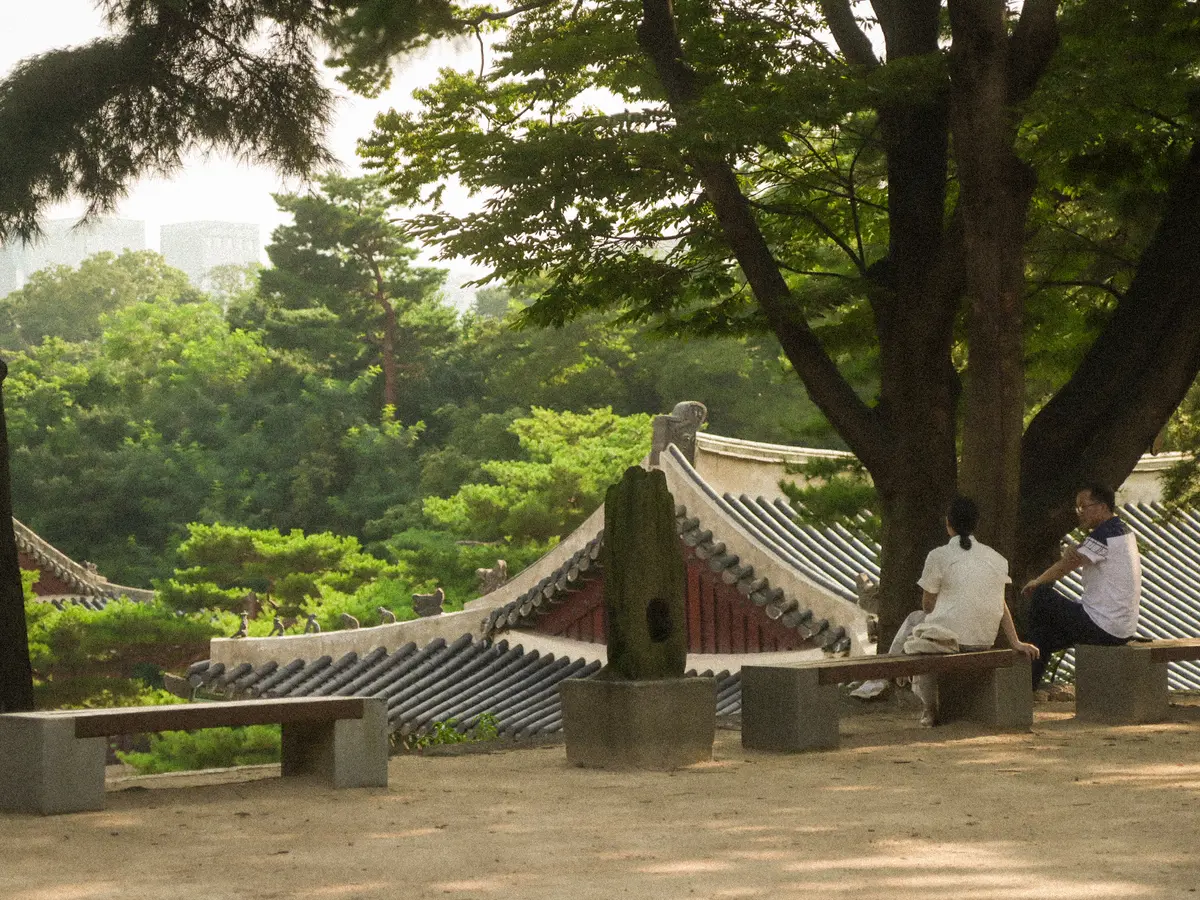 이미지 3