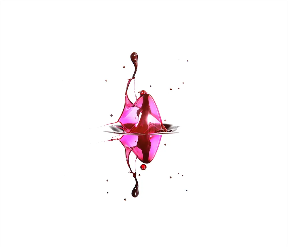 이미지 6