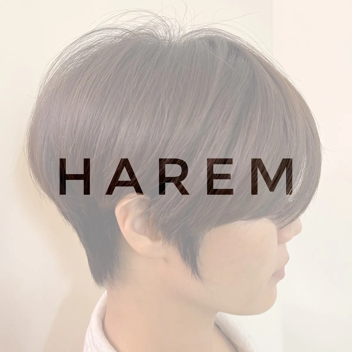 이미지 11