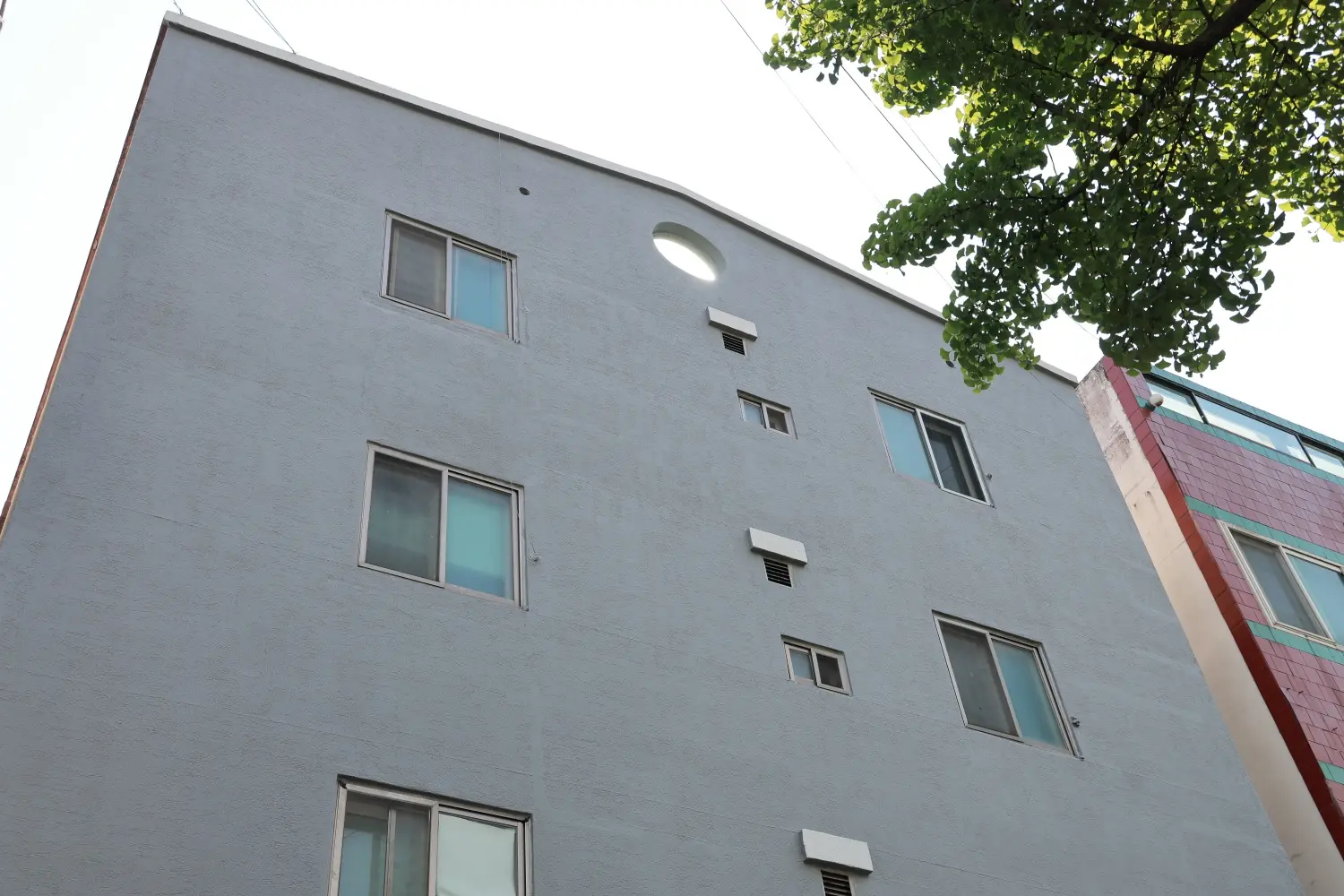 이미지 14