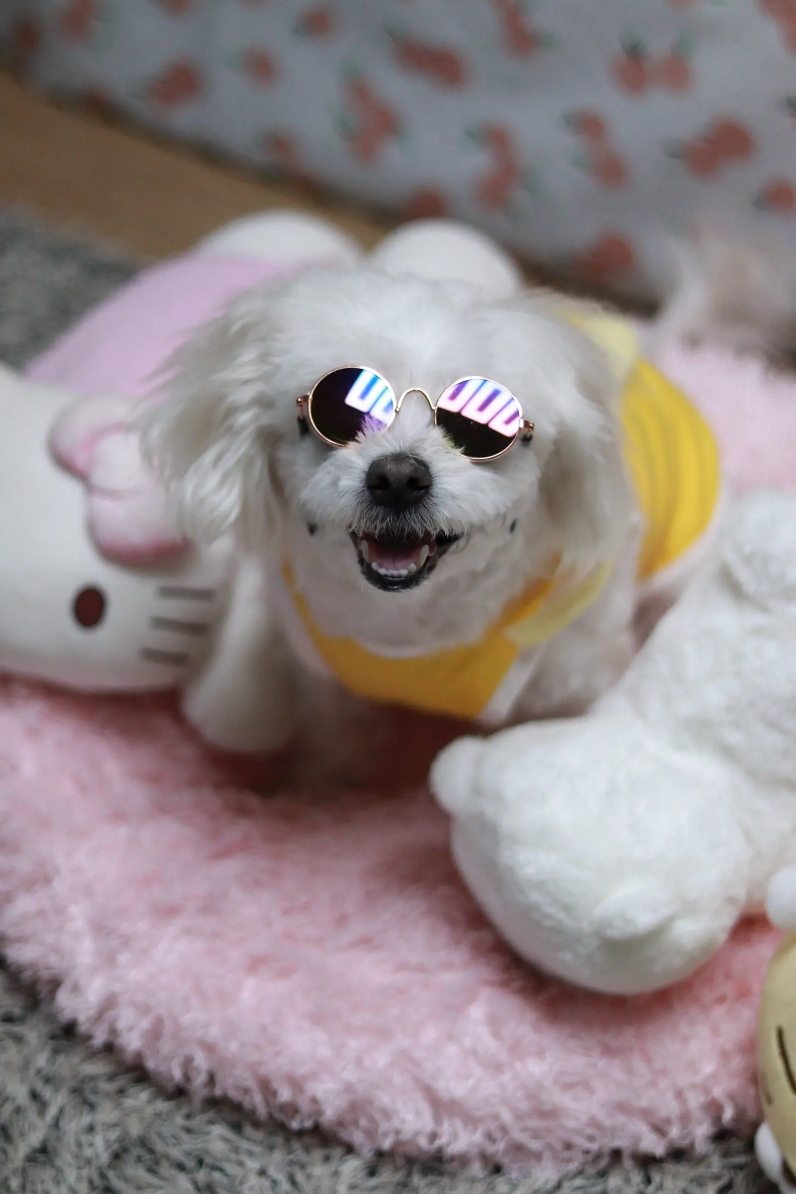 이미지 7