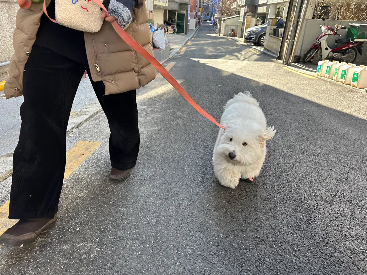 이미지 6
