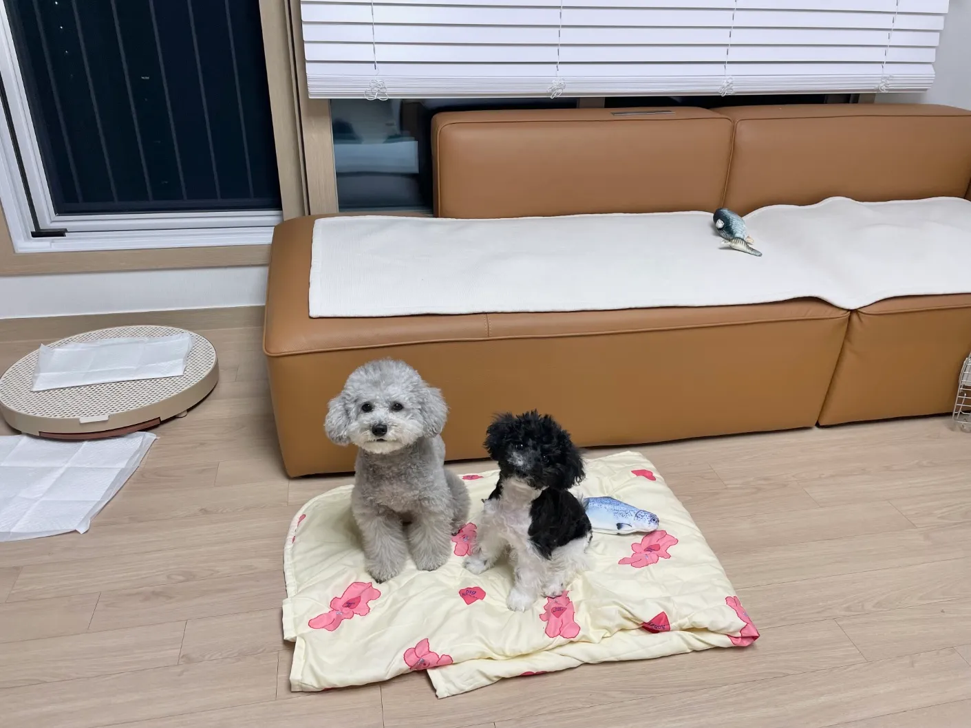 이미지 9