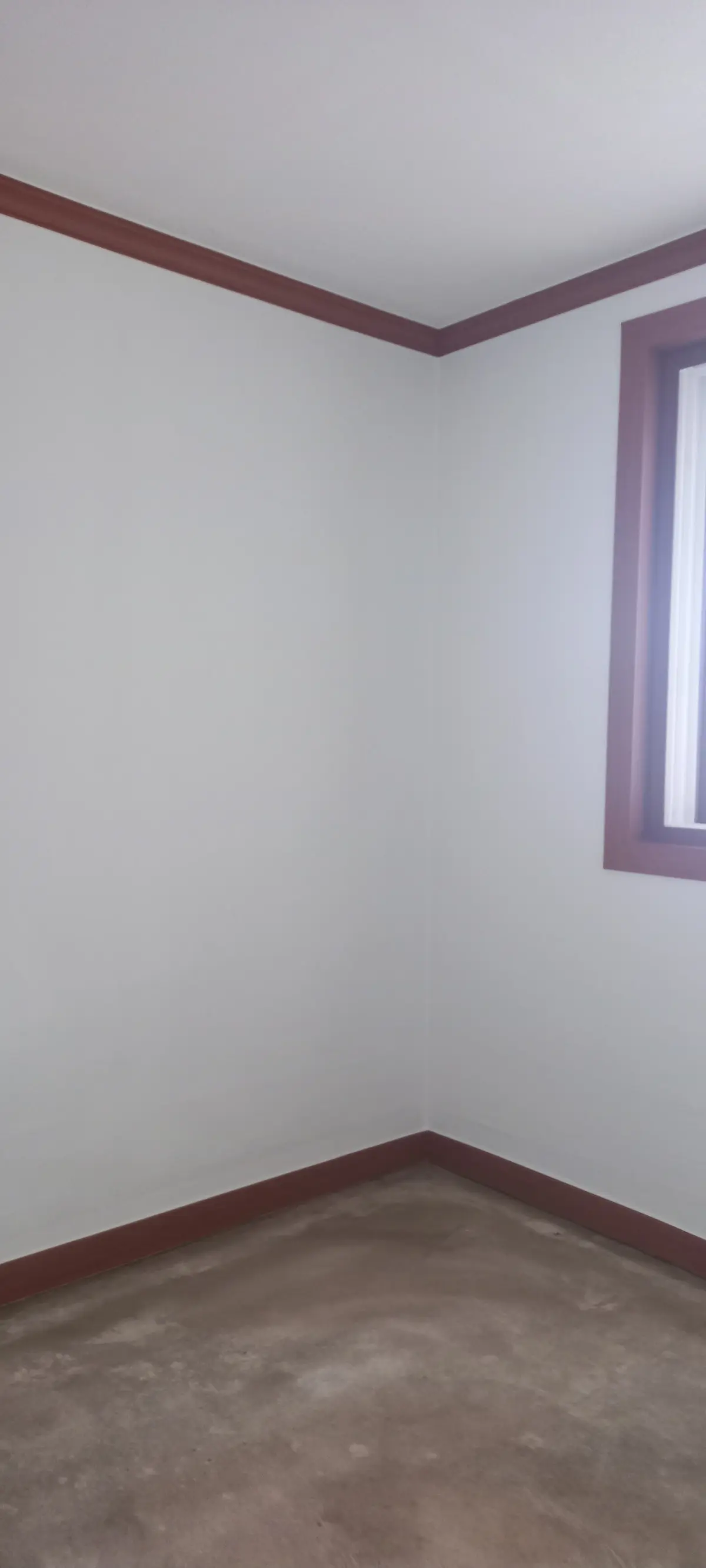 이미지 5