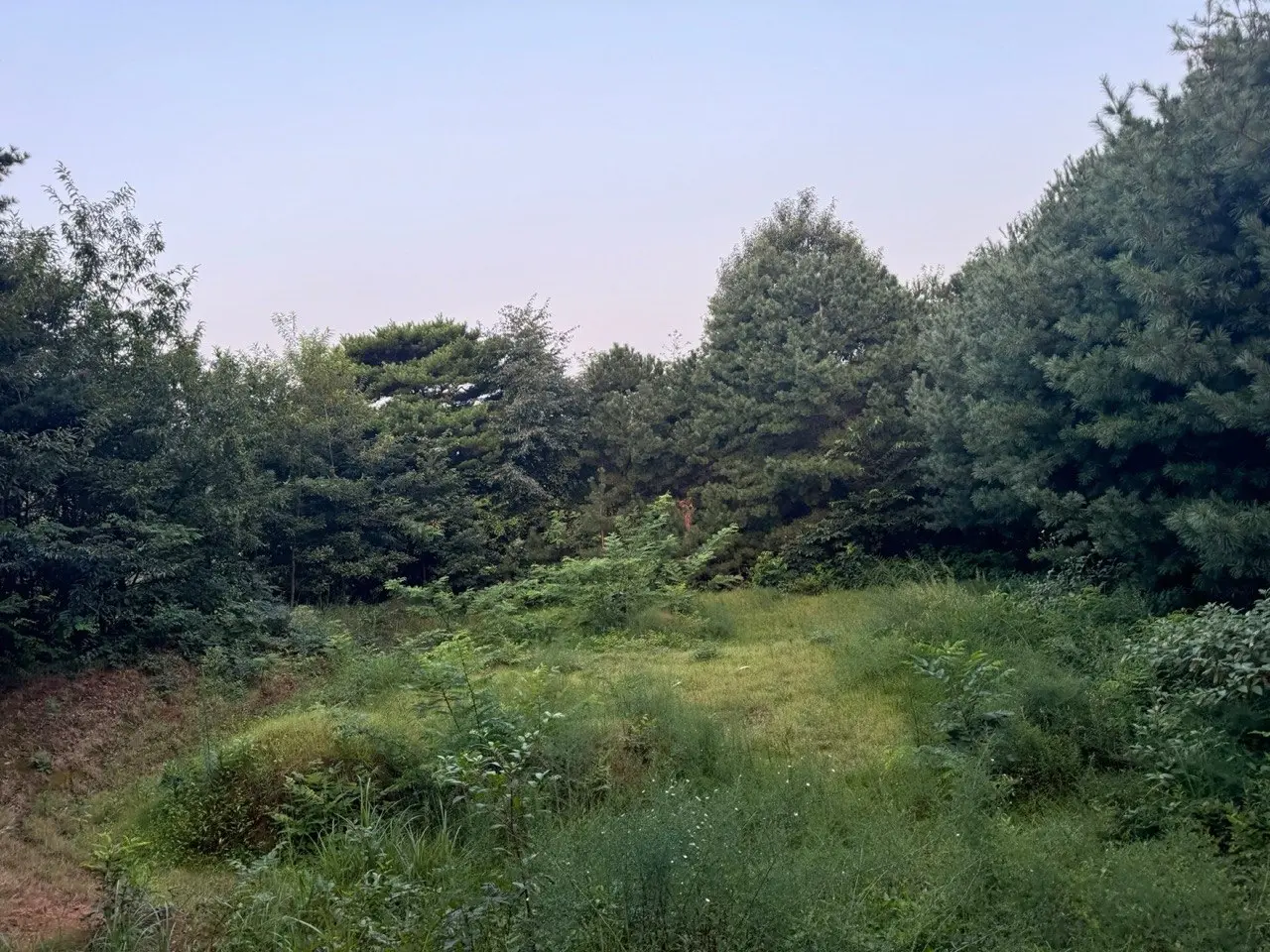 이미지 4