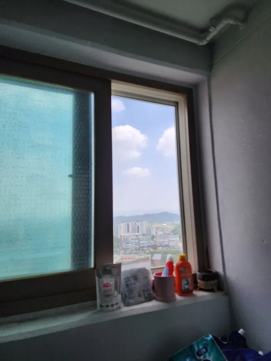 이미지 11