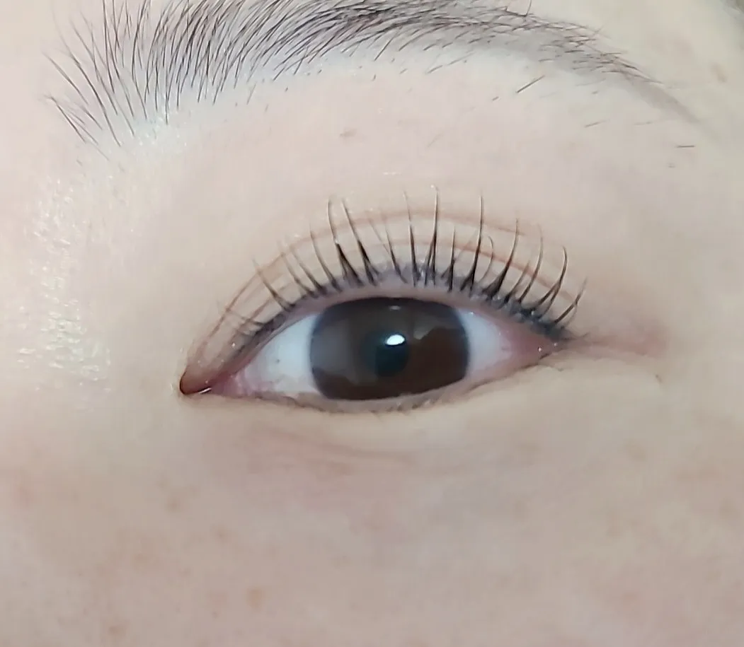 이미지 8