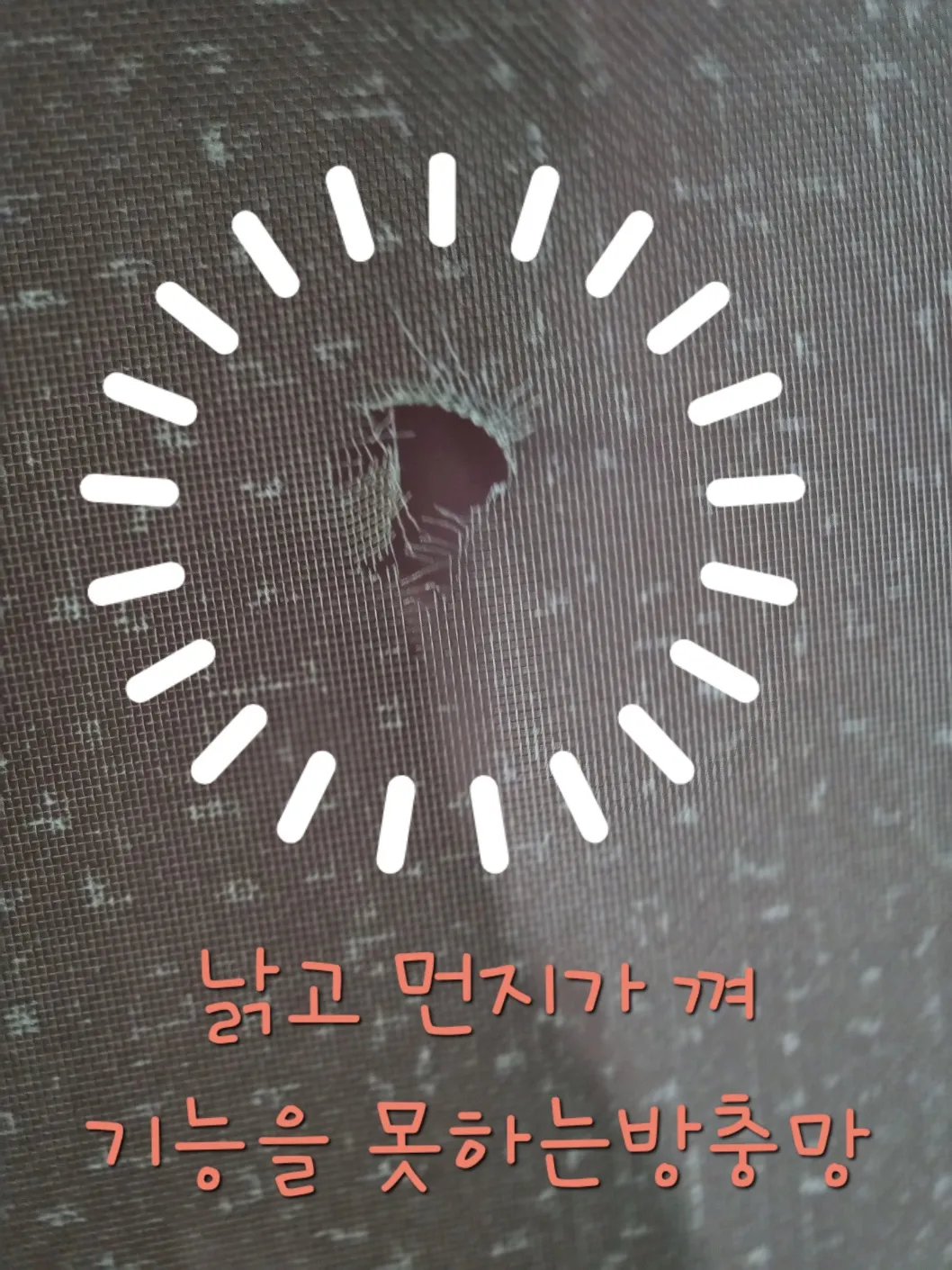 이미지 4