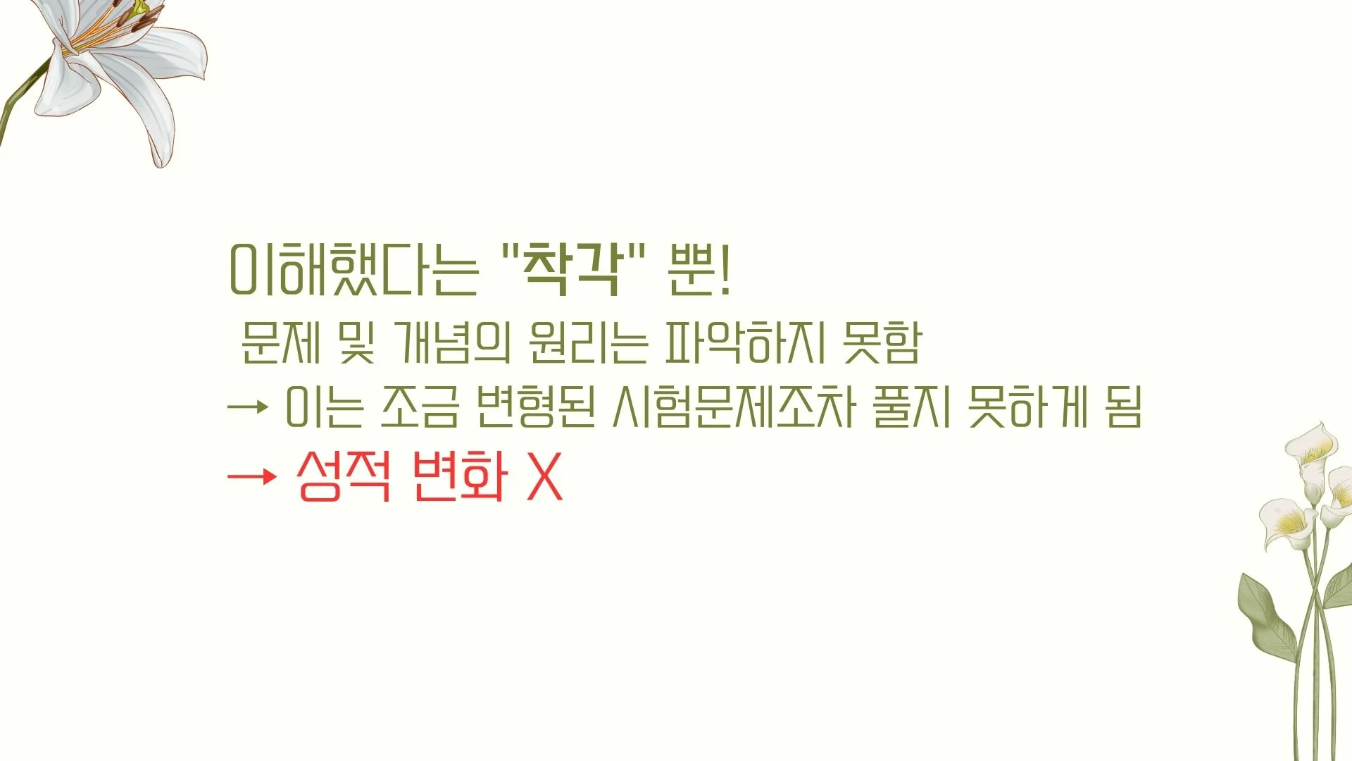 이미지 8