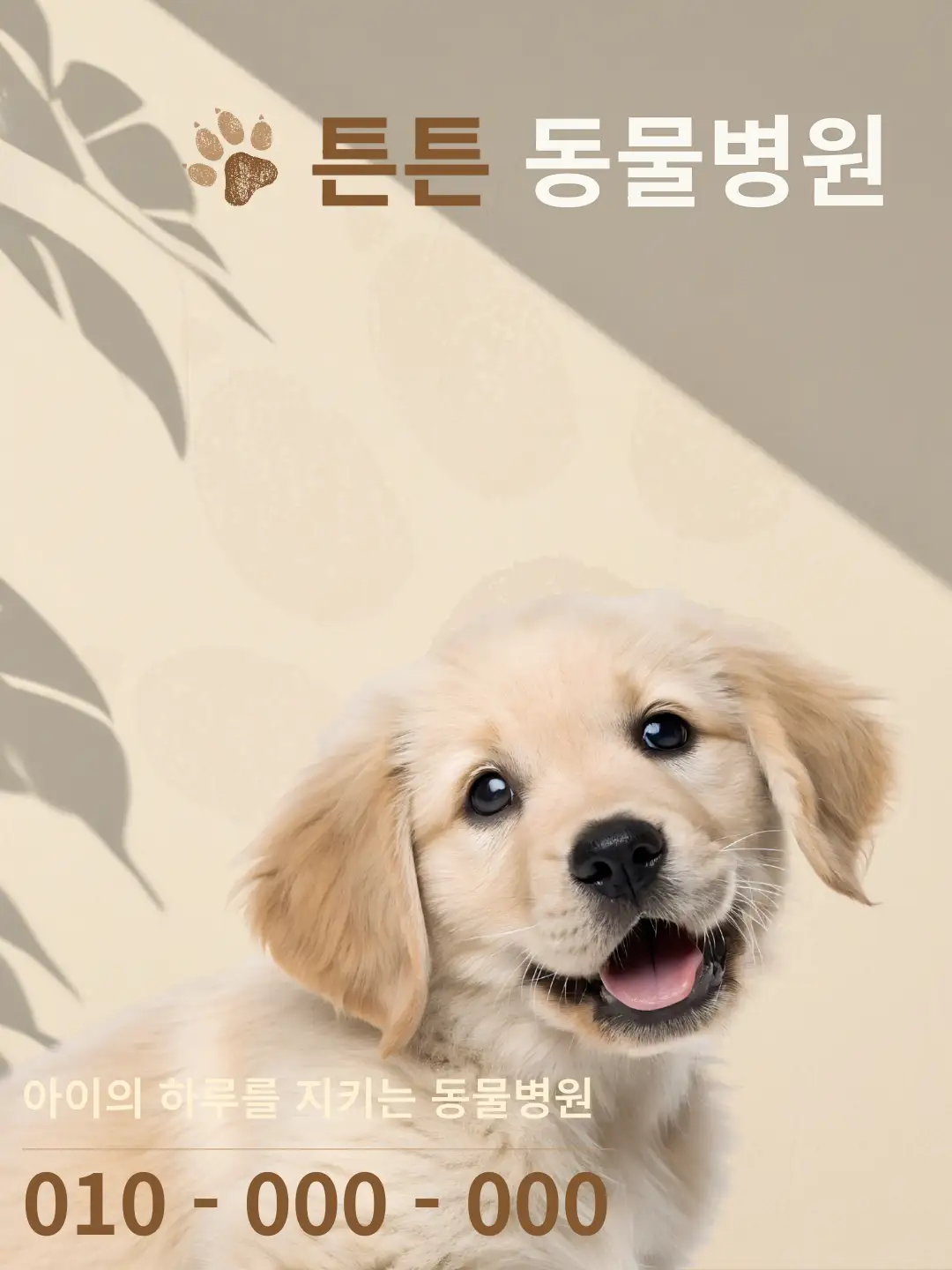 이미지 4