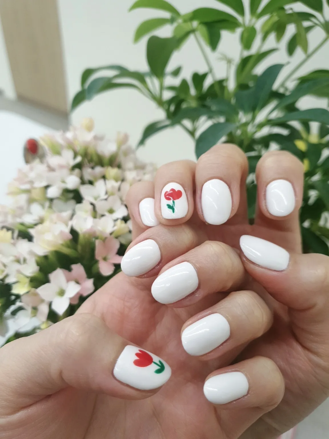 이미지 7