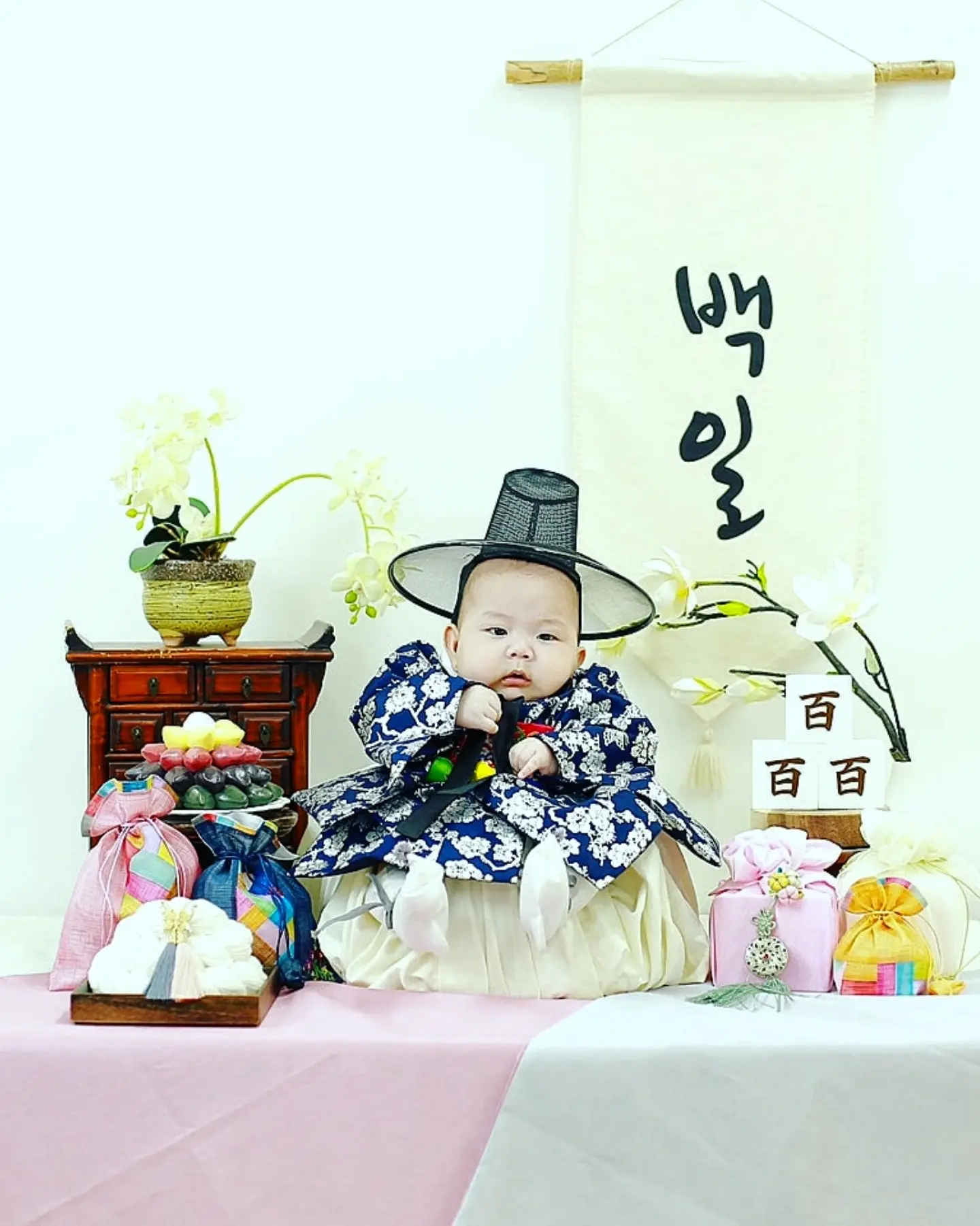 이미지 12