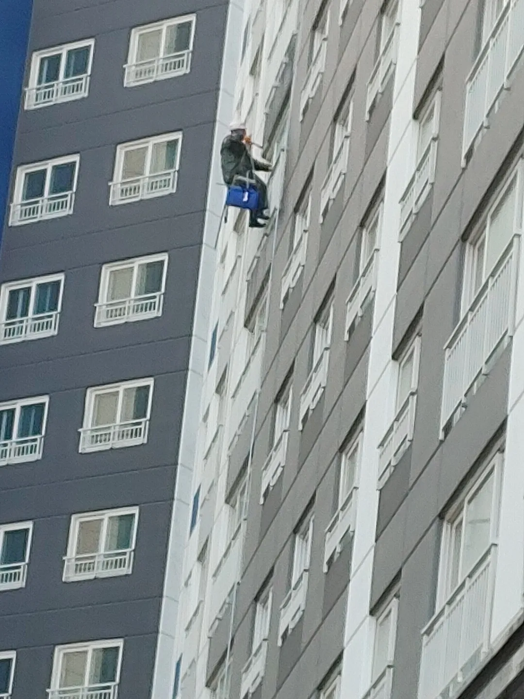 이미지 8