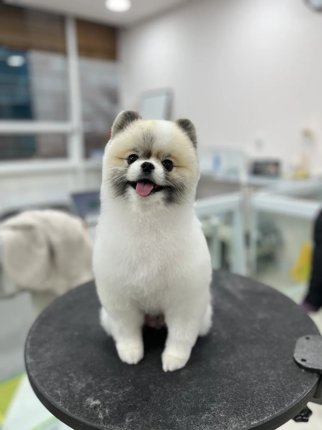 이미지 4