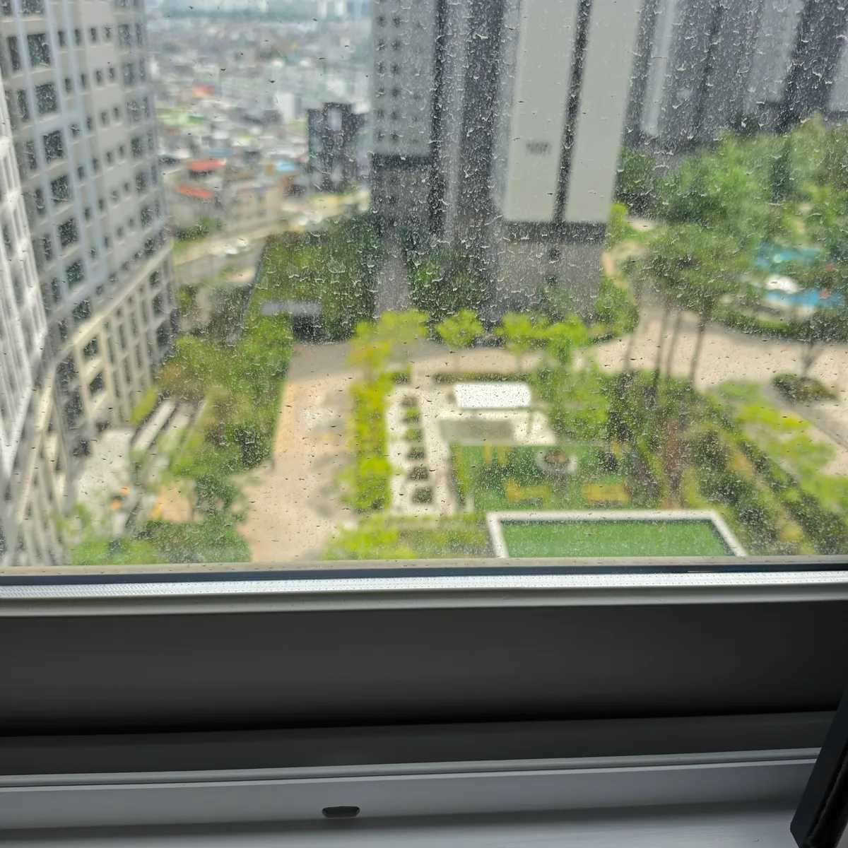 이미지 14