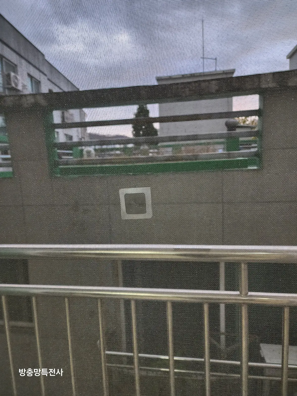이미지 4