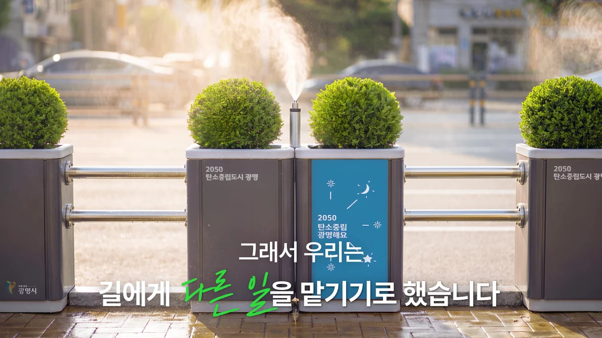 이미지 12