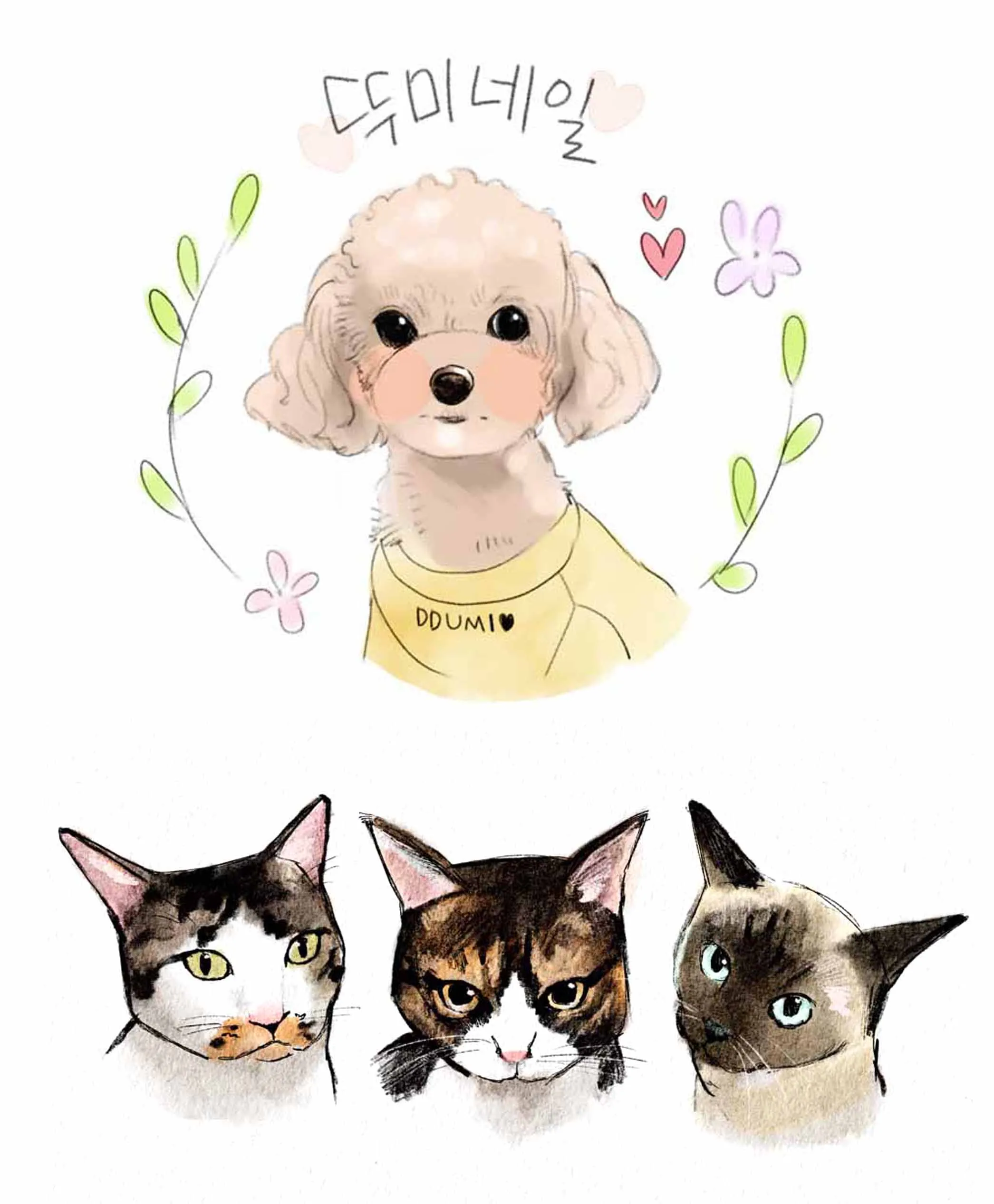 이미지 10