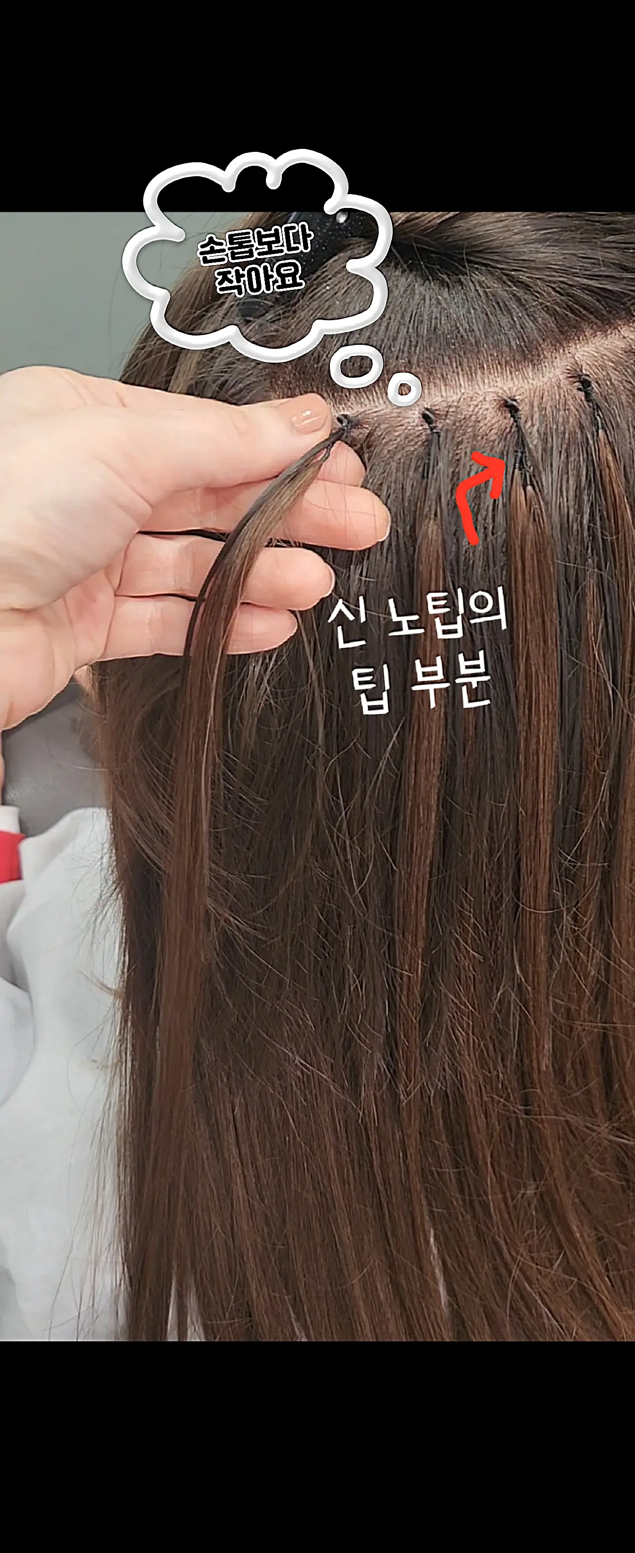 이미지 5