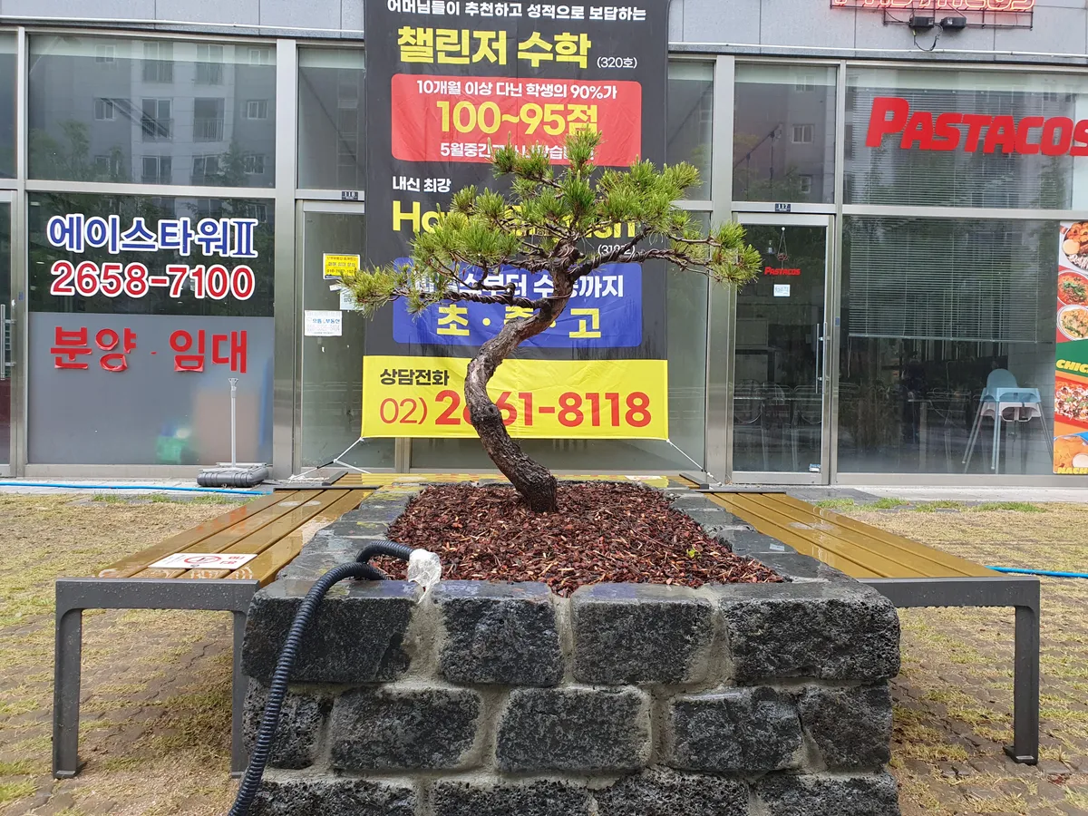 이미지 10
