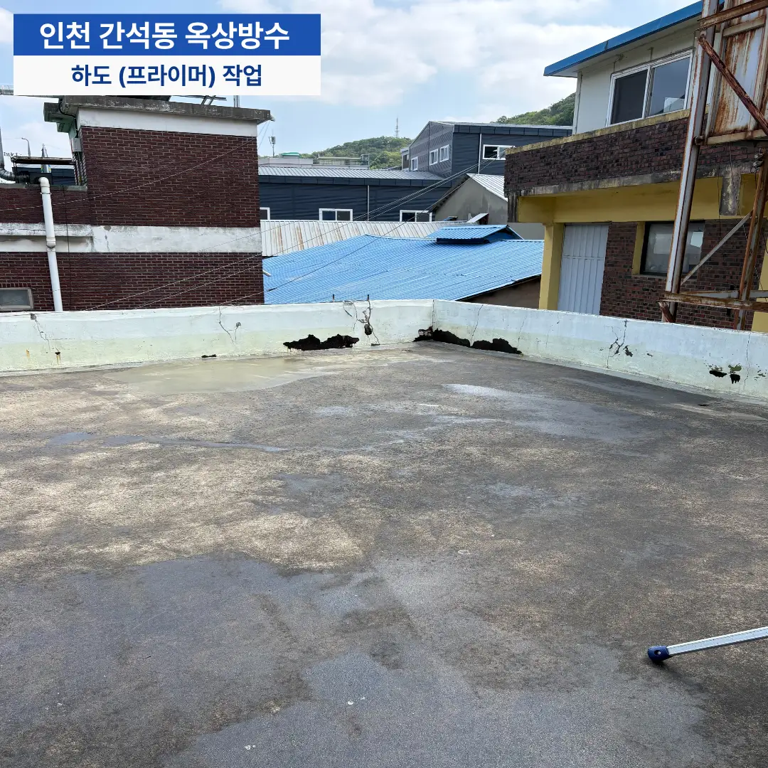 이미지 12