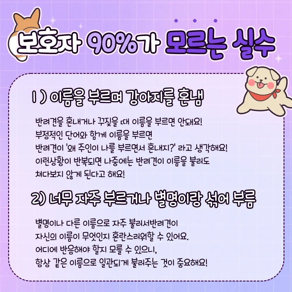 이미지 11