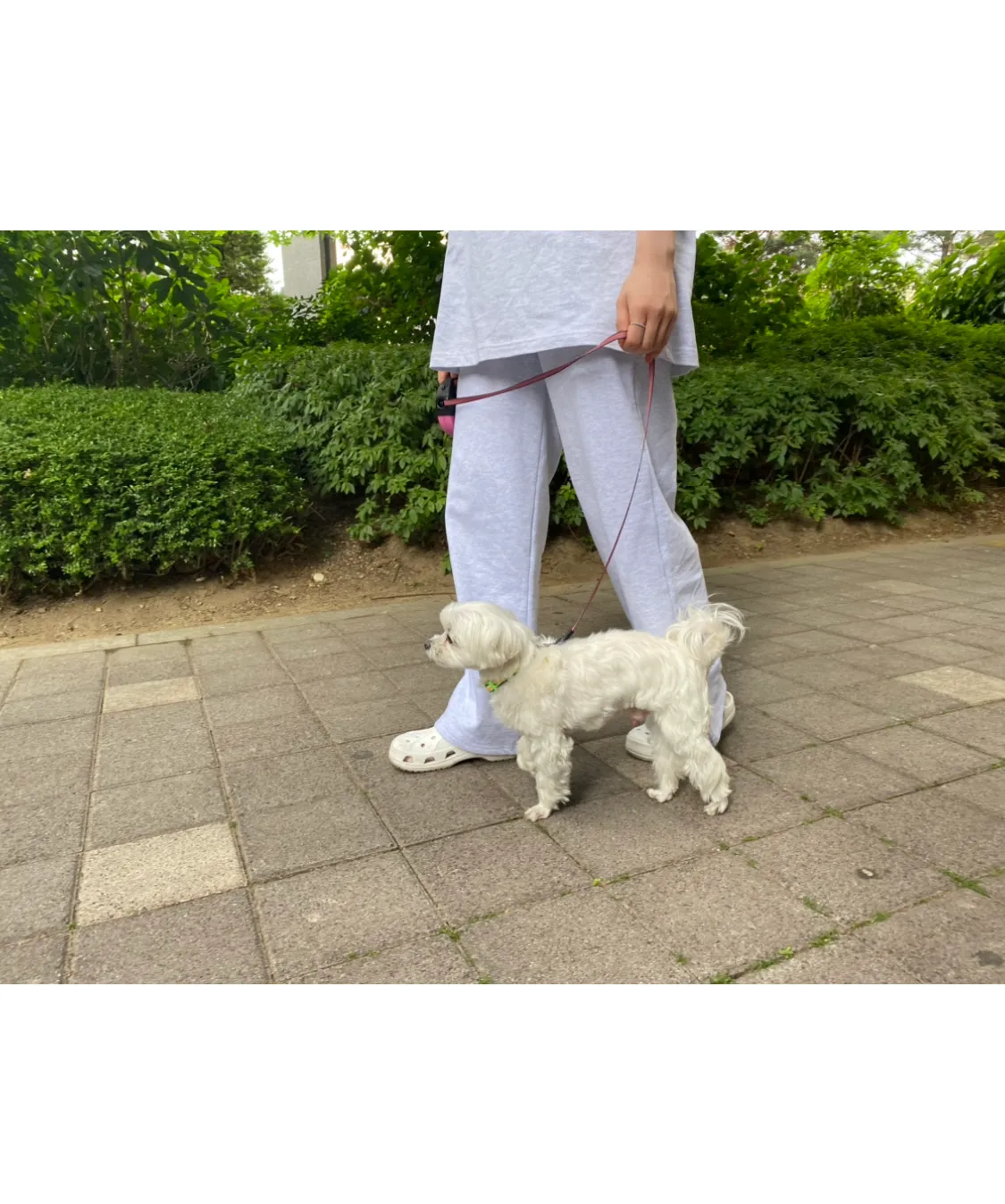 이미지 6