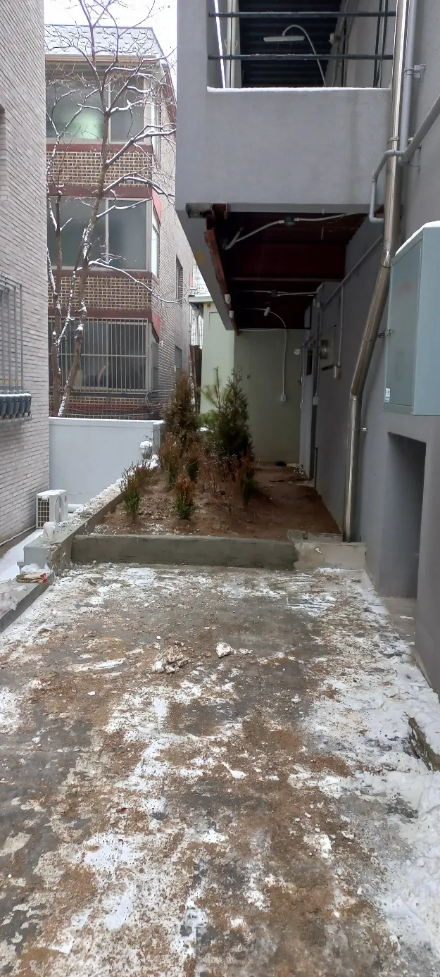 이미지 8