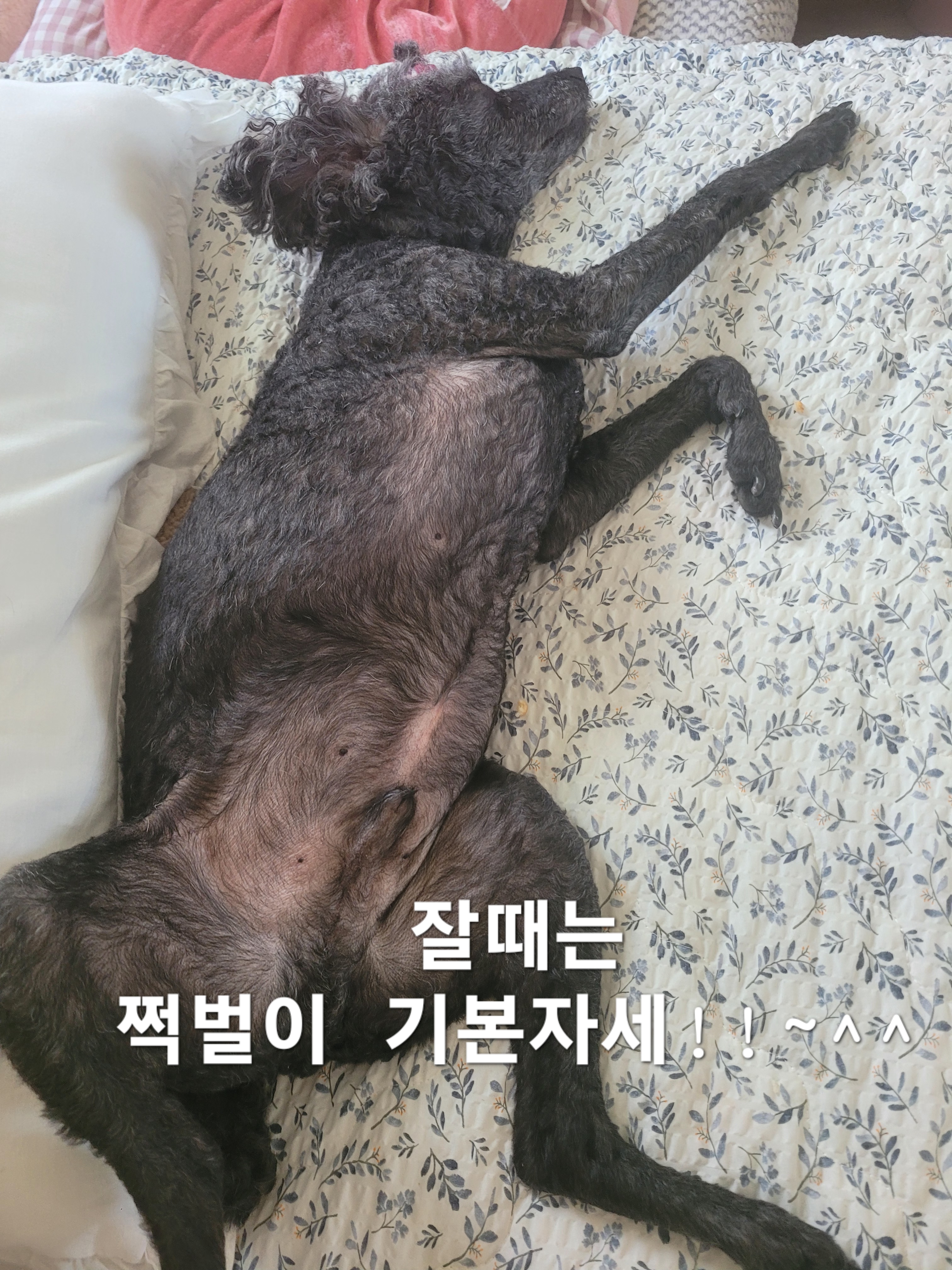 이미지 12