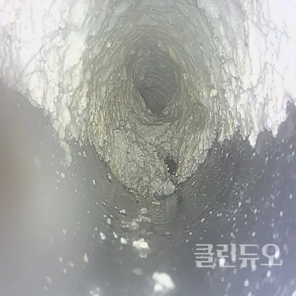 이미지 10