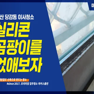 당감동 이사청소 (실리콘 곰팡이 제거 포함)