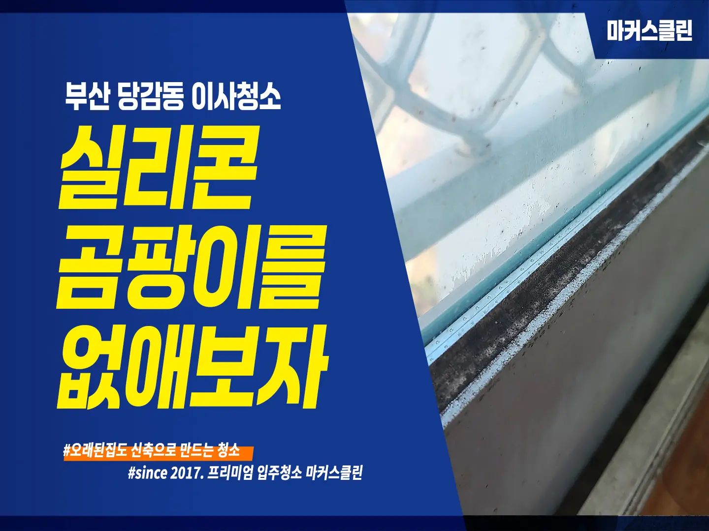 이미지 2