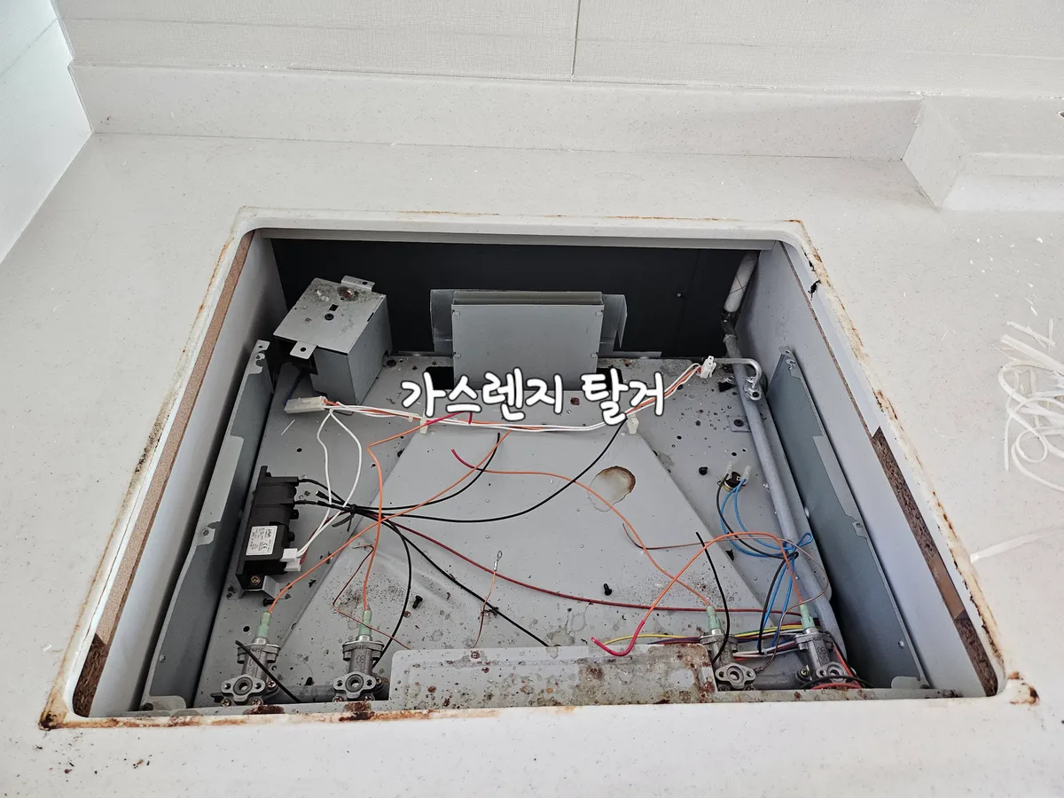 이미지 14