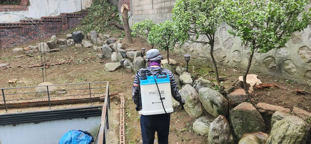 이미지 4