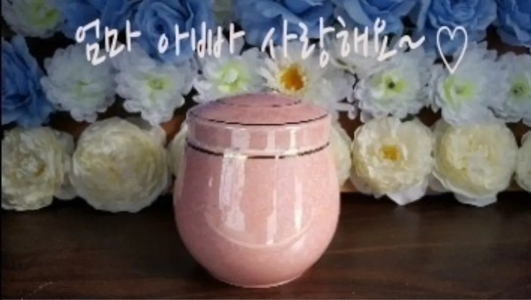 이미지 5