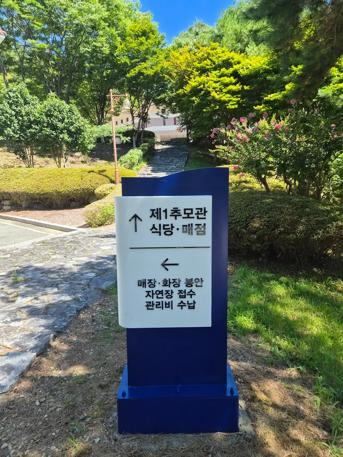 이미지 24