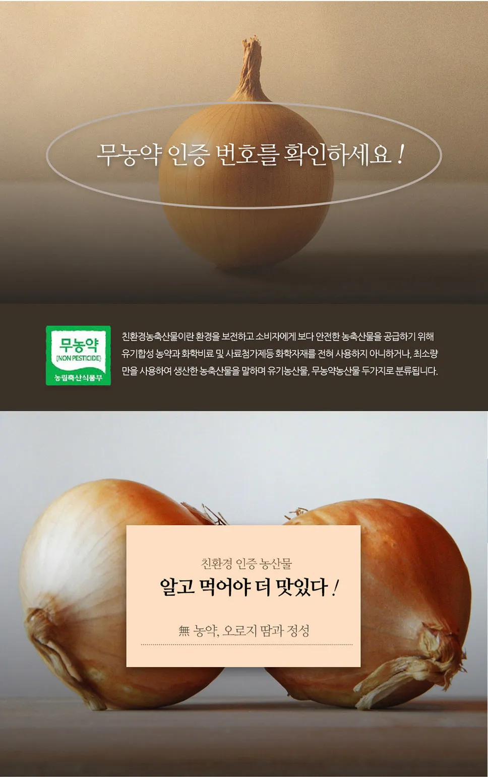 이미지 5