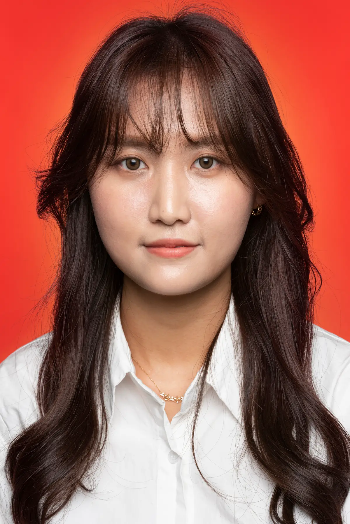 이미지 4