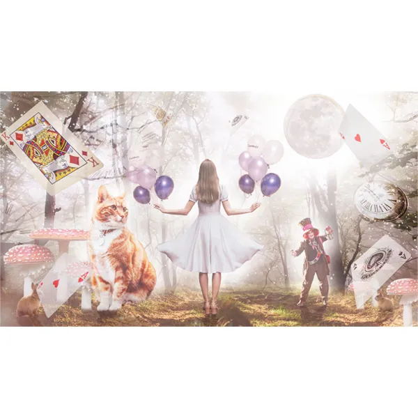 포트폴리오 이미지