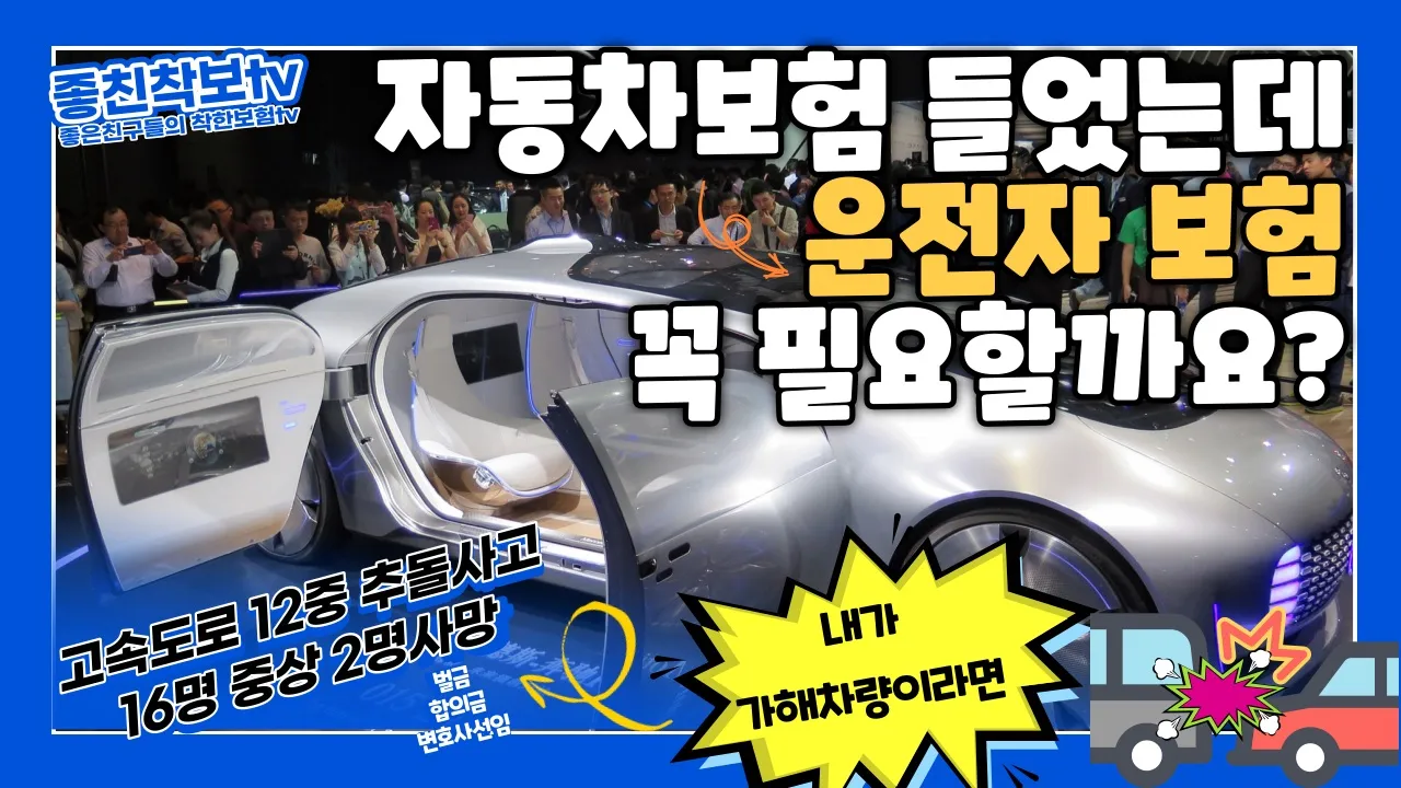 이미지 8