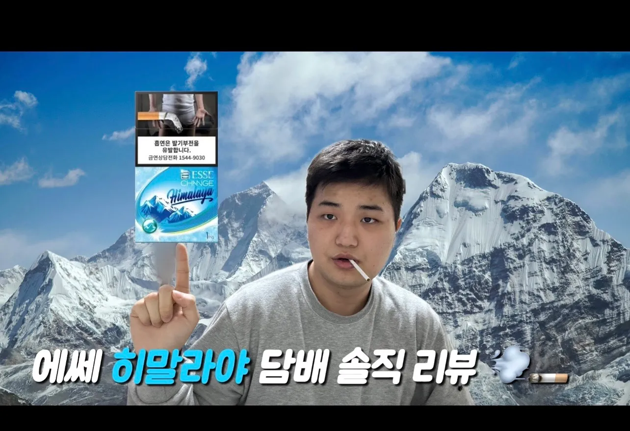 이미지 8