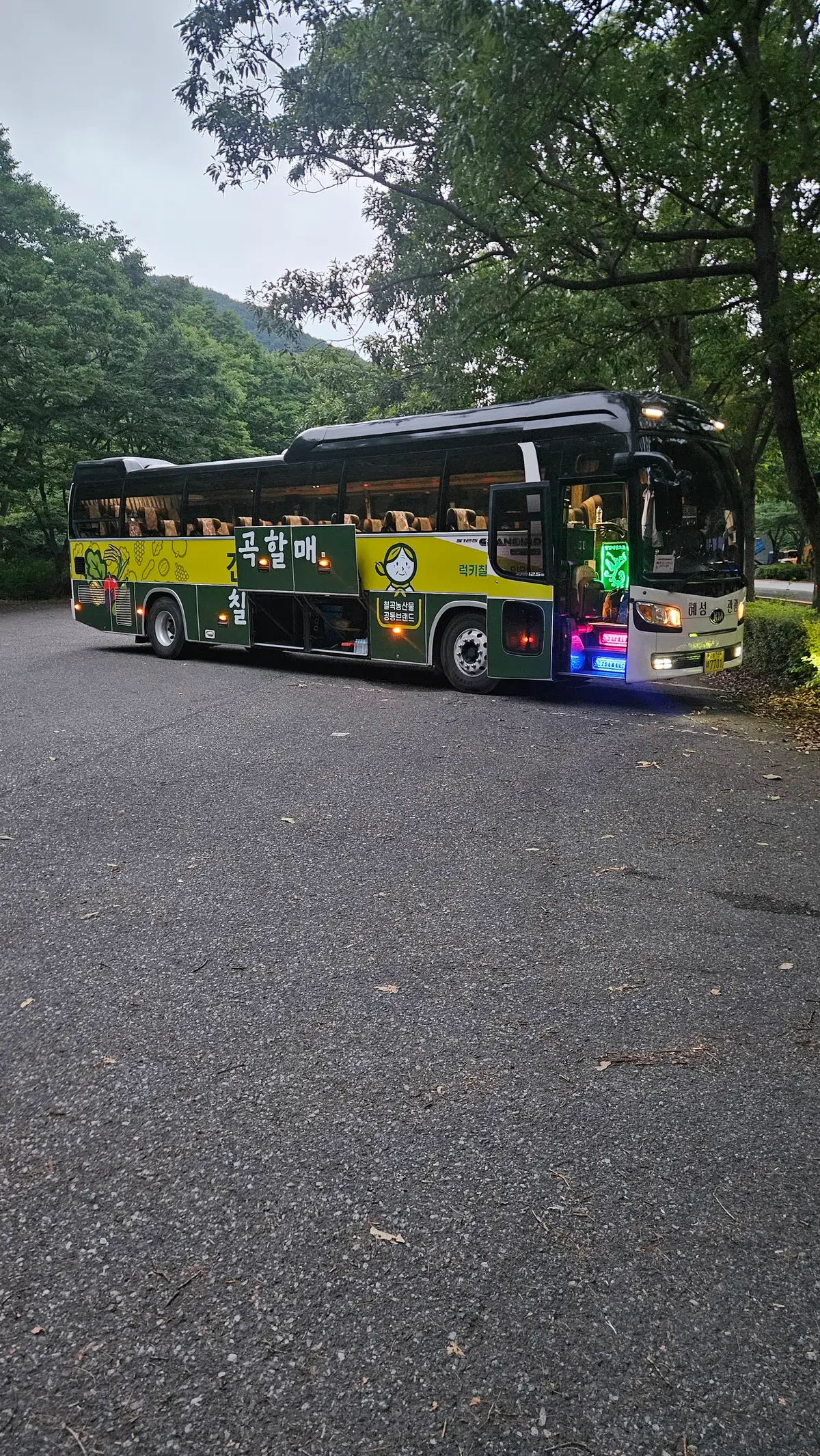 이미지 6