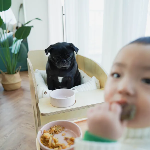 이미지 9