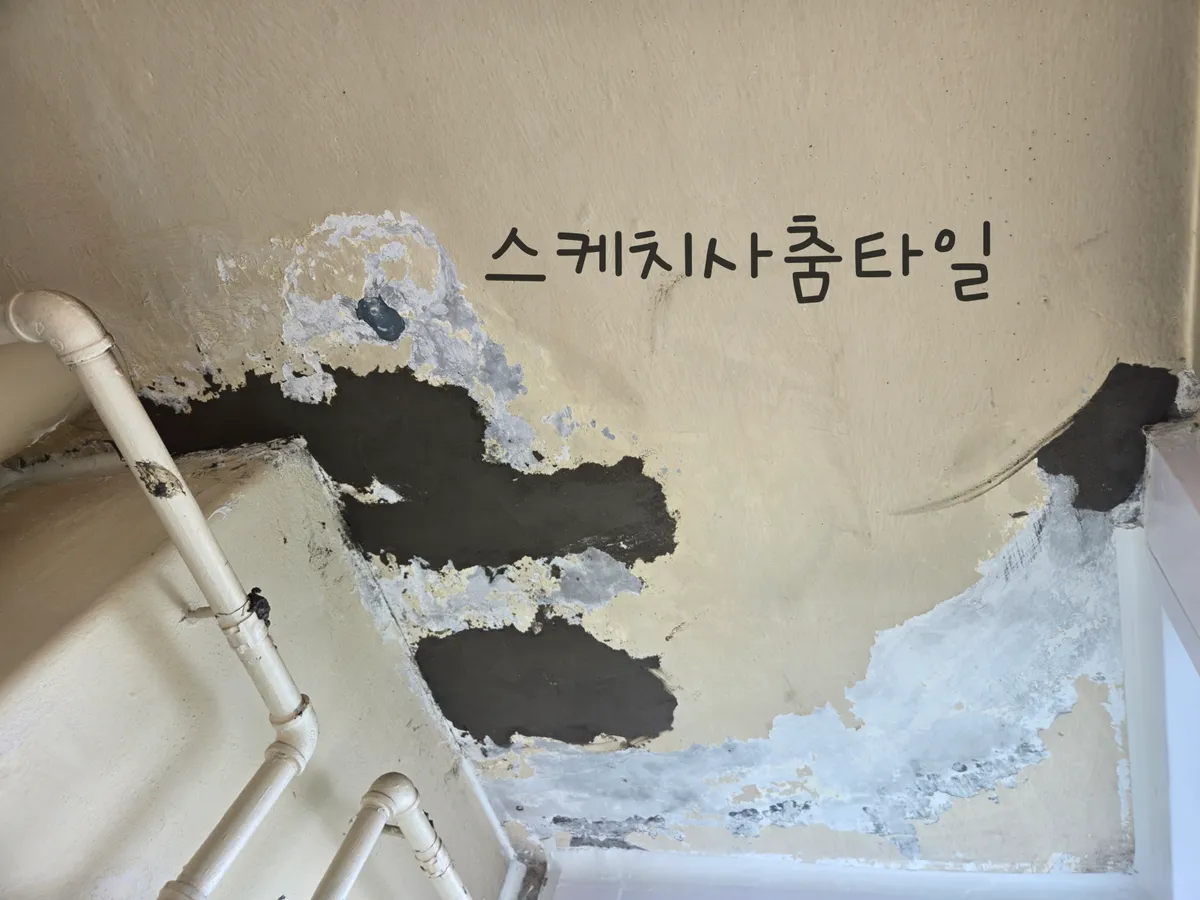 이미지 3